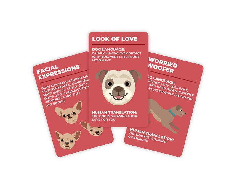 Understanding Your Dog - Card Game -Joy Toy