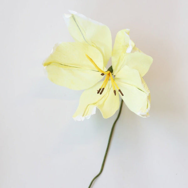 Den fineste lily papirsblomst! 