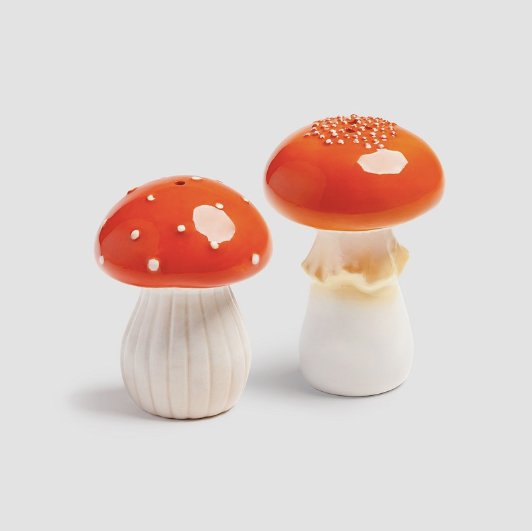 Mushrooms salt and pepper set