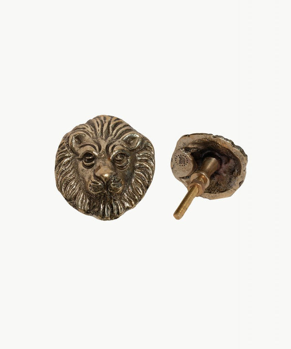 Lion's head cabinet knob